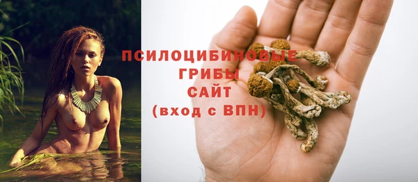 apvp Заволжье