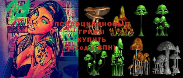 ALPHA-PVP Инсар