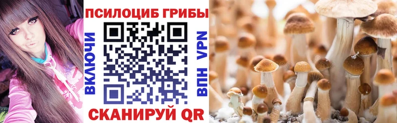 наркотики  Кизел  Галлюциногенные грибы Psilocybe 